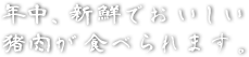 年中、新鮮でおいしい猪肉が食べられます。