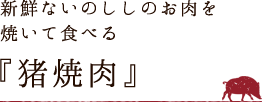 新鮮ないのししのお肉を焼いて食べる『猪焼肉』