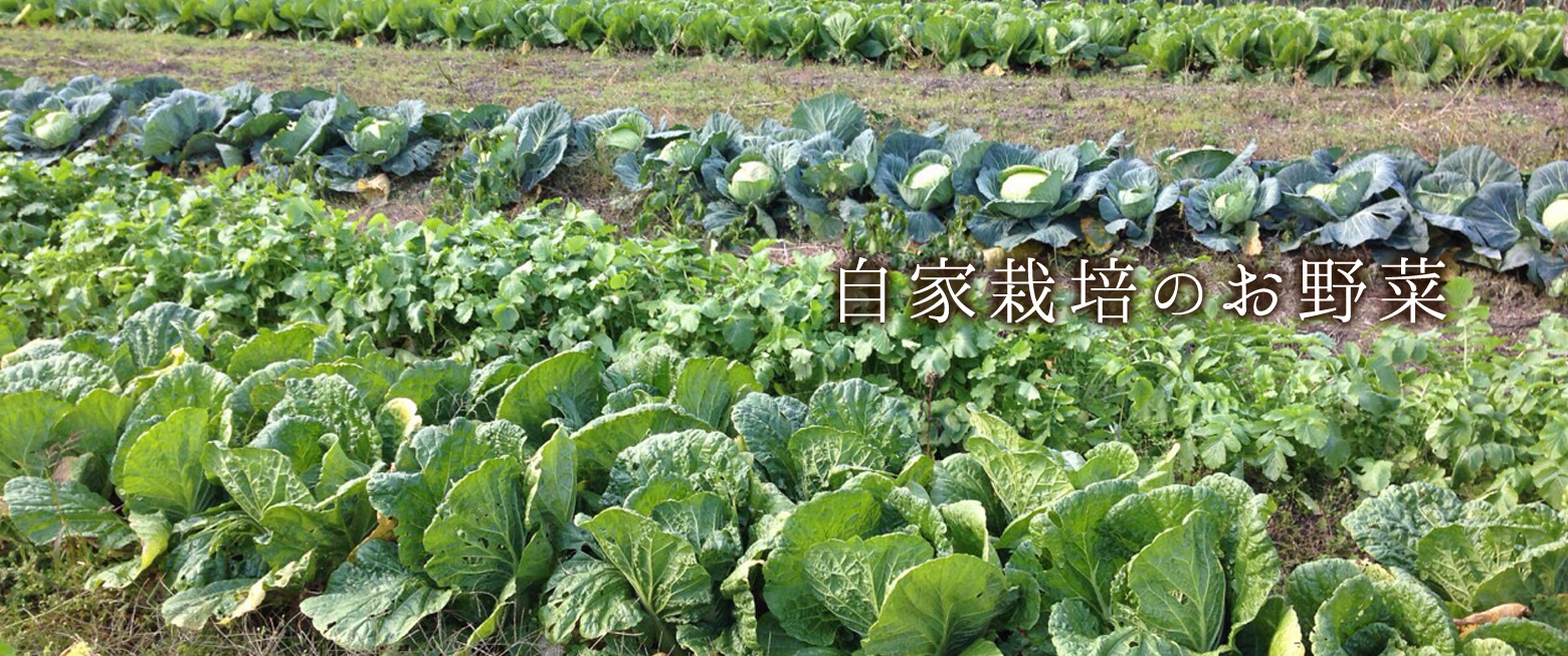 自家栽培のお野菜